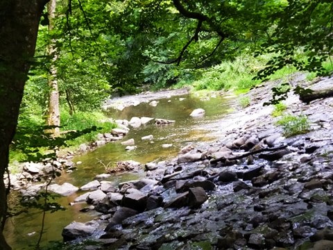 Gorges de la Bouble Chantelle nature paysage Abbaye 